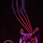 Neumos Takes a Trip with Chris Robinson Brotherhood