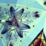 Soaking Up Every Word: Lemolo Releases The Kaleidoscope Photo Soaking Up Every Word: Lemolo Releases The Kaleidoscope