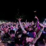 Sasquatch Mega Gallery Or The Home Stretch Photo Sasquatch Mega Gallery Or The Home Stretch